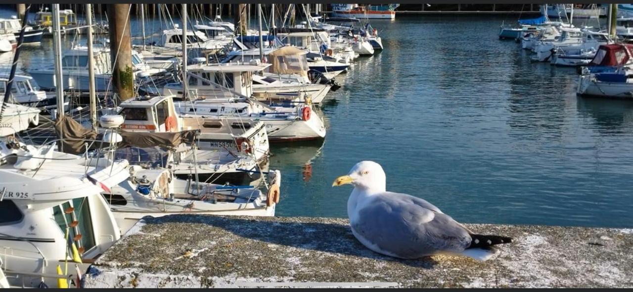 Magnifique Appartement L'Aigrette Dieppe Esterno foto